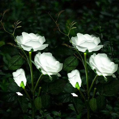 LED Rose Flower